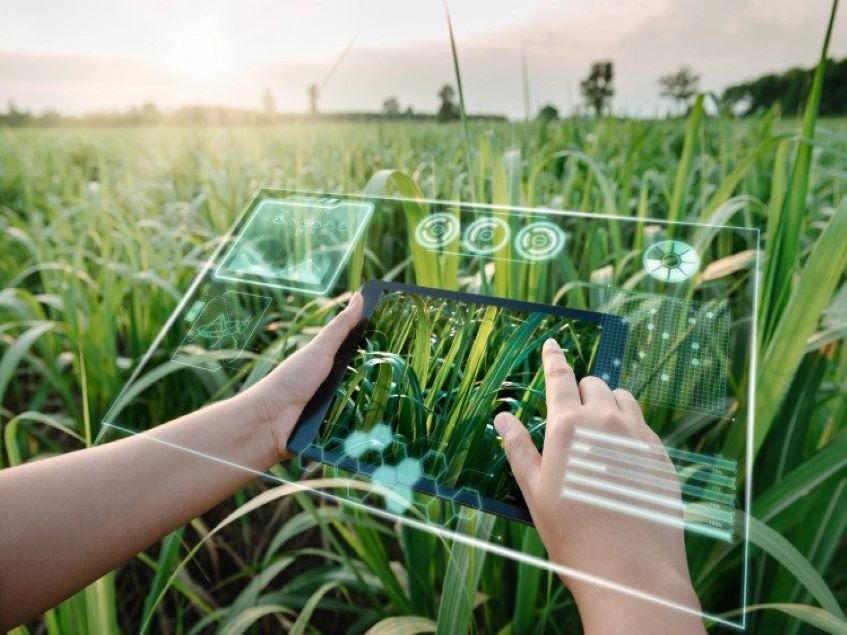 The future of agrifood tech in Southeast Asia: Agriculture in the digital decade